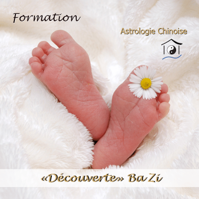 LTB FENG SHUI Formation Astrologie chinoise